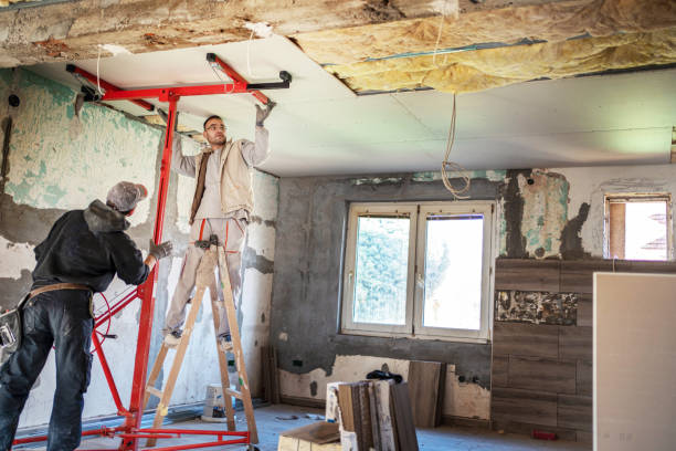 Best Insulation Repair Services  in USA